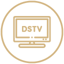 Television icon